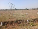 530 Sq.Yd. Plot in Nashik Road