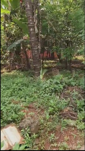  Plot – Garden View at Mannuthy - for Sale