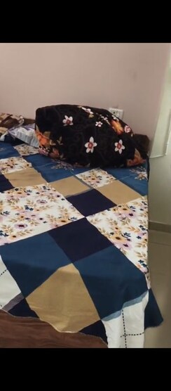 1 BHK Apartment For Rent in Auric City Homes