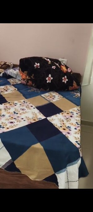 1 BHK Apartment For Rent in Auric City Homes, Sector 82