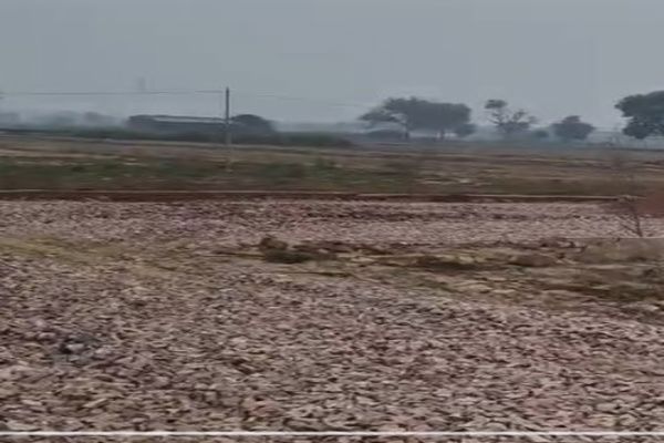 Plot For Sale in Sector 89