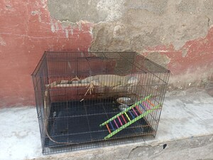 2 BHK Apartment – Exterior View View at Ashtavinayak CHS Chinchpokli, Chinchpokli - for Rent