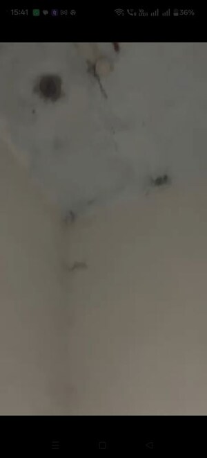 Furnished Amenities in  Shop at Aarcity Krishna Apra D Mall, Shakti Khand 2 – for Sale