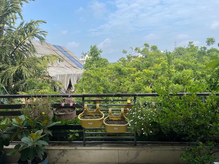 Exterior View, chittaranjan park 3 Bedroom 350 Sq.Yd. Builder Floor In Chittaranjan Park Delhi 10232571