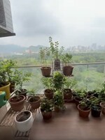 3 BHK + Store Room 1820 Sq.Ft. Apartment in Balaji Delta Central