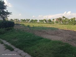 3 BHK + Pooja Room,Study Room Apartment For Sale in Omaxe New Chandigarh