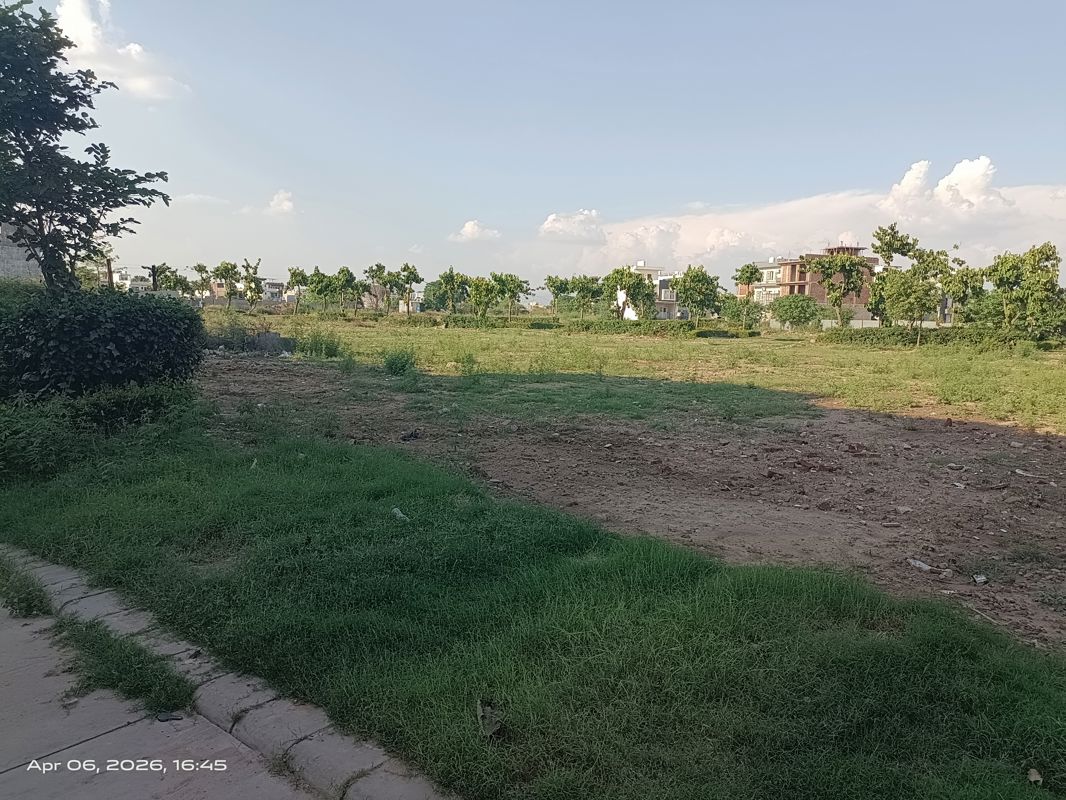 3 BHK + Pooja Room,Study Room Apartment For Sale in Omaxe New Chandigarh