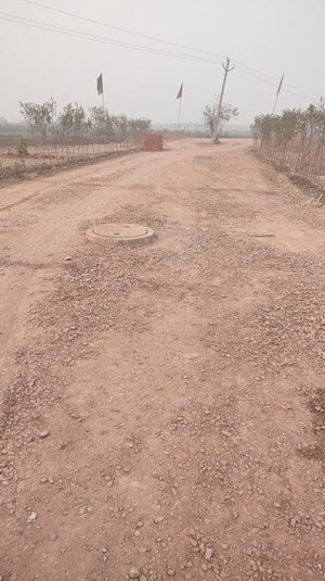 Plot Area in  Plot at Shahpur Kala – for Sale
