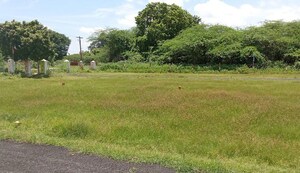  Plot – Garden View at Sector 4 Wave City - for Sale