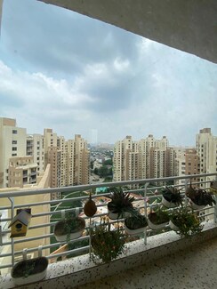 3 BHK Apartment For Rent in Gracious Tower