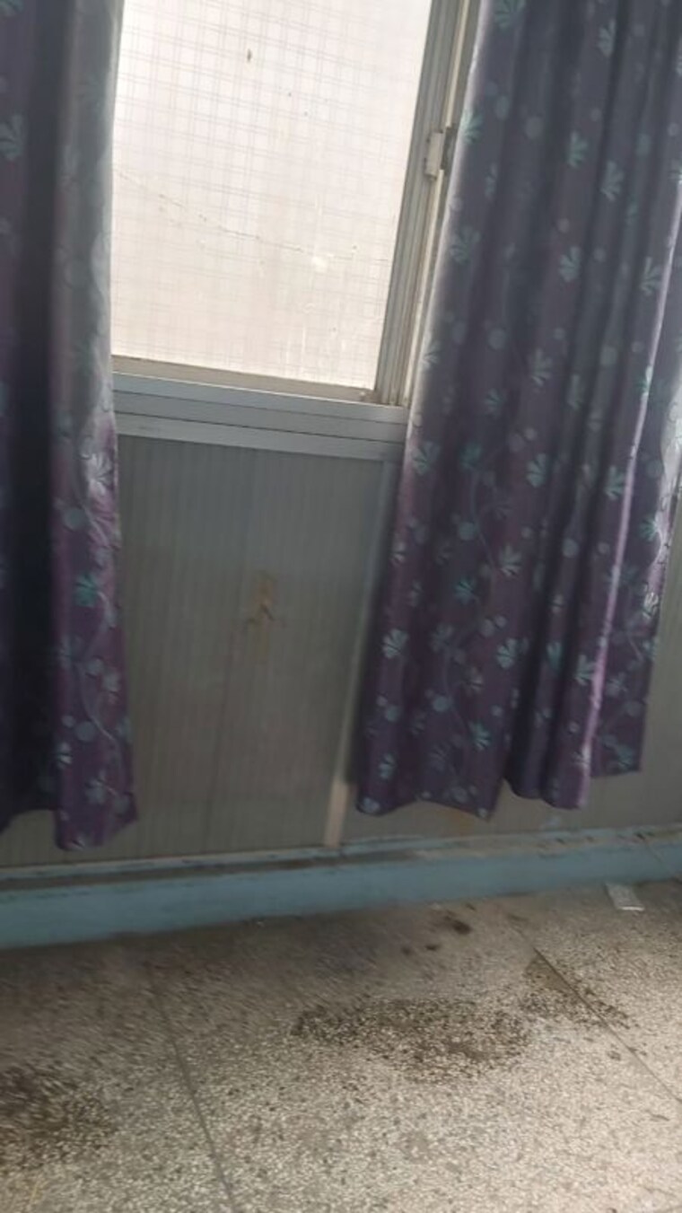 Other, mayur vihar 1.5 Bedroom 450 Sq.Ft. Apartment In Mayur Vihar Delhi 10249204