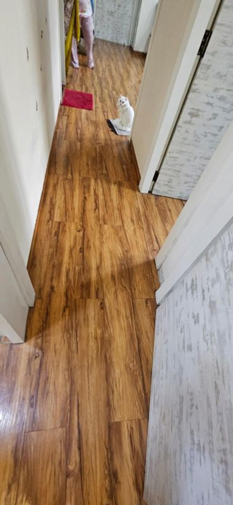 Balcony, fortune-avenue 2 Bedroom 870 Sq.Ft. Apartment In Ghodbunder Road Thane 10249290