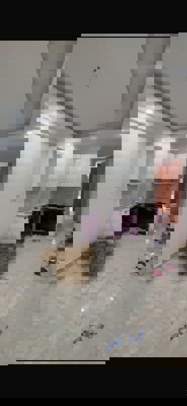 1 BHK + Pooja Room 450 Sq.Ft. Builder Floor in Balaji Homes Noida