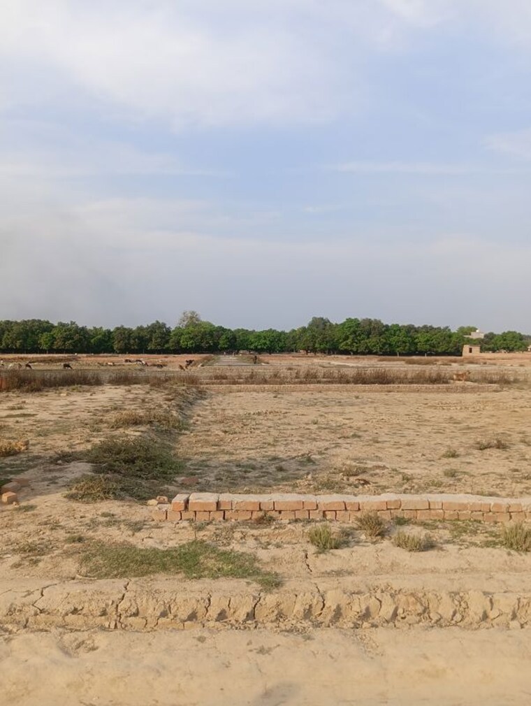 undefined, arsh-city  1000 Sq.Ft. Plot In Sadrauna Lucknow 10249321