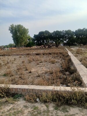 Plot Area in  Plot at Arsh City, Sadrauna – for Sale