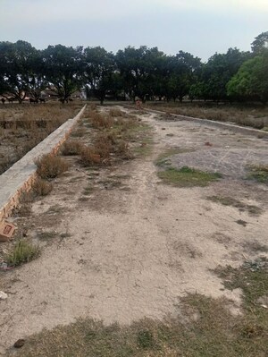  Plot For Sale in Arsh City, Sadrauna