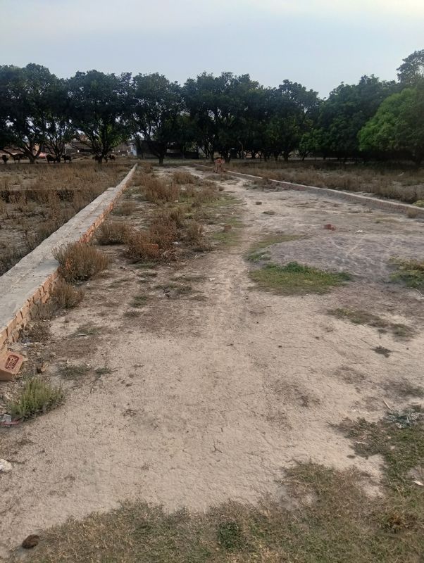 Plot For Sale in Arsh City