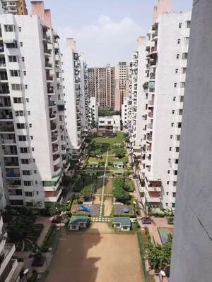 1 BHK Apartment For Rent in Aditya Celebrity Homes, Sector 76