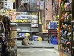 150 Sq.Ft. Retail Shop in Mayur Vihar