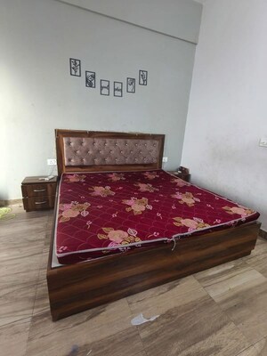 1 BHK Apartment For Rent in Paramount Golfforeste, Zeta I Greater Noida