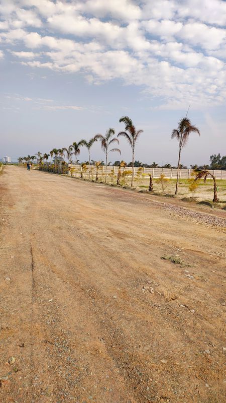 Plot For Sale in Tech Zone 4 Greater Noida