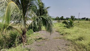   Land at Dalimb – for Rent