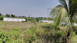 Plot Area in  Land at Dalimb – for Rent