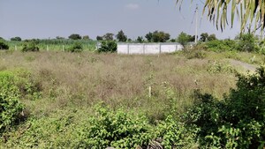 Plot Area in  Land at Dalimb – for Rent