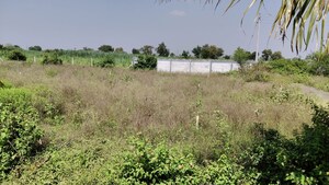 Plot Area in  Land at Dalimb – for Rent