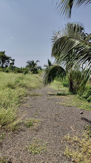 Plot Area in  Land at Dalimb – for Rent