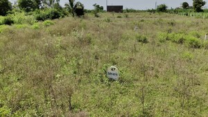 Plot Area in  Land at Dalimb – for Rent
