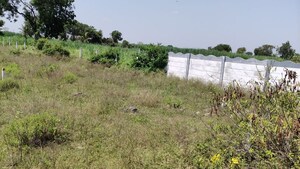 Plot Area in  Land at Dalimb – for Rent