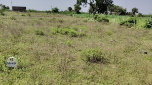 Plot Area in  Land at Dalimb – for Rent