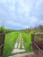 143 Sq.Ft. Plot in Biharigarh