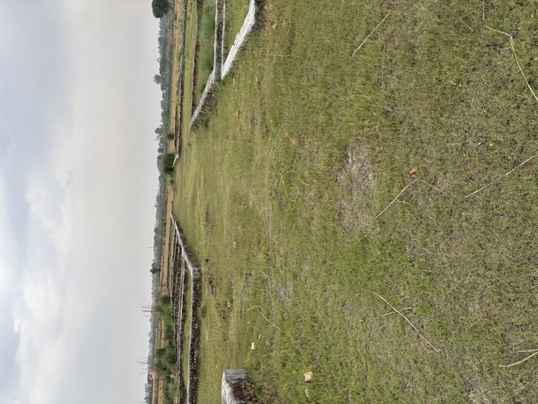 Garden, atour  540 Sq.Ft. Plot In Atour Ghaziabad 10250391