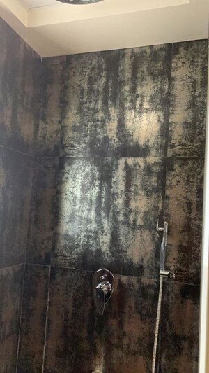 Bathroom in 2 BHK Apartment at Rion Zen Square, Kharadi – for Rent