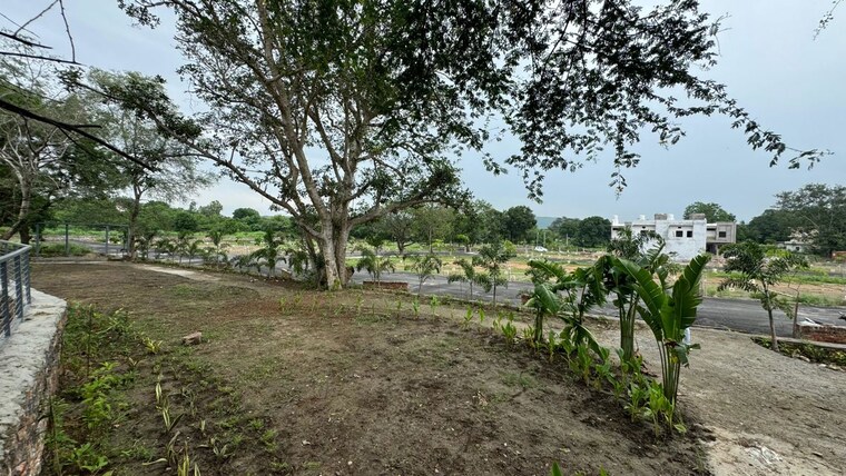 undefined, sector 21  200 Sq.Yd. Plot In Sector 21 Chandigarh 10250461