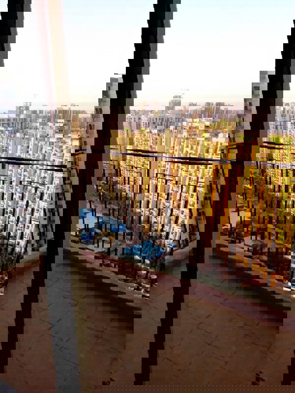 3 BHK Apartment For Rent in Amrapali Dream Valley