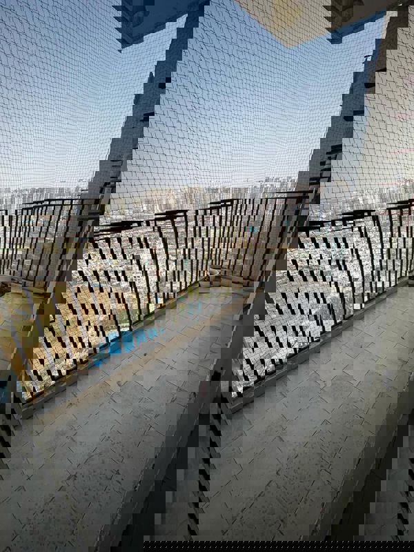 2 BHK Apartment For Rent in Panchsheel Greens