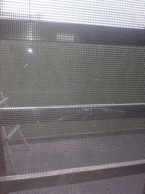  5 BHK Independent House at LudhianA-Chandigarh Hwy – for Rent