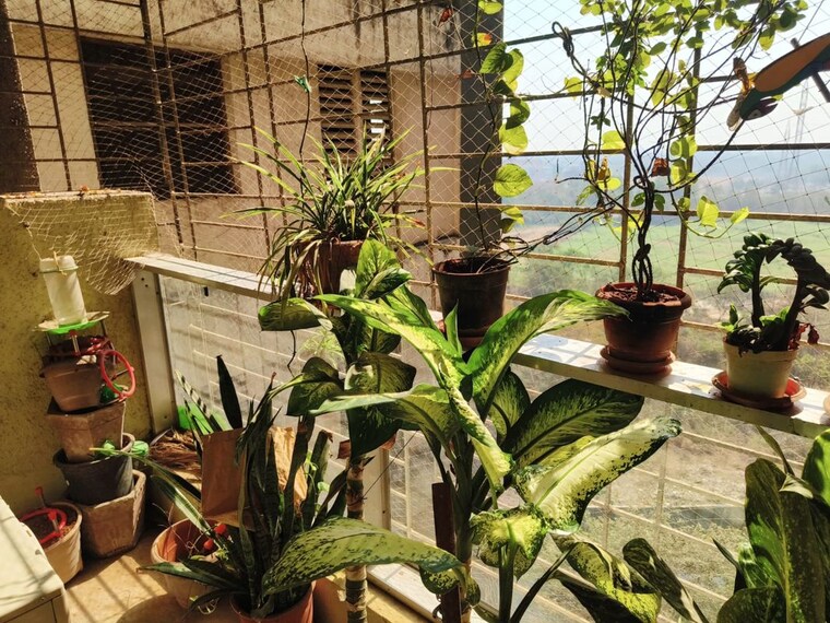 Exterior View, neelyog-anand 2 Bedroom 600 Sq.Ft. Apartment In Ghatkopar East Mumbai 10250598
