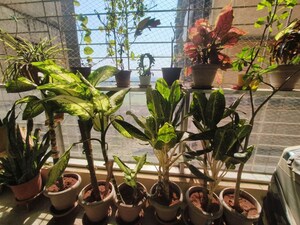 Gym in 2 BHK Apartment at Neelyog Anand, Ghatkopar East – for Rent