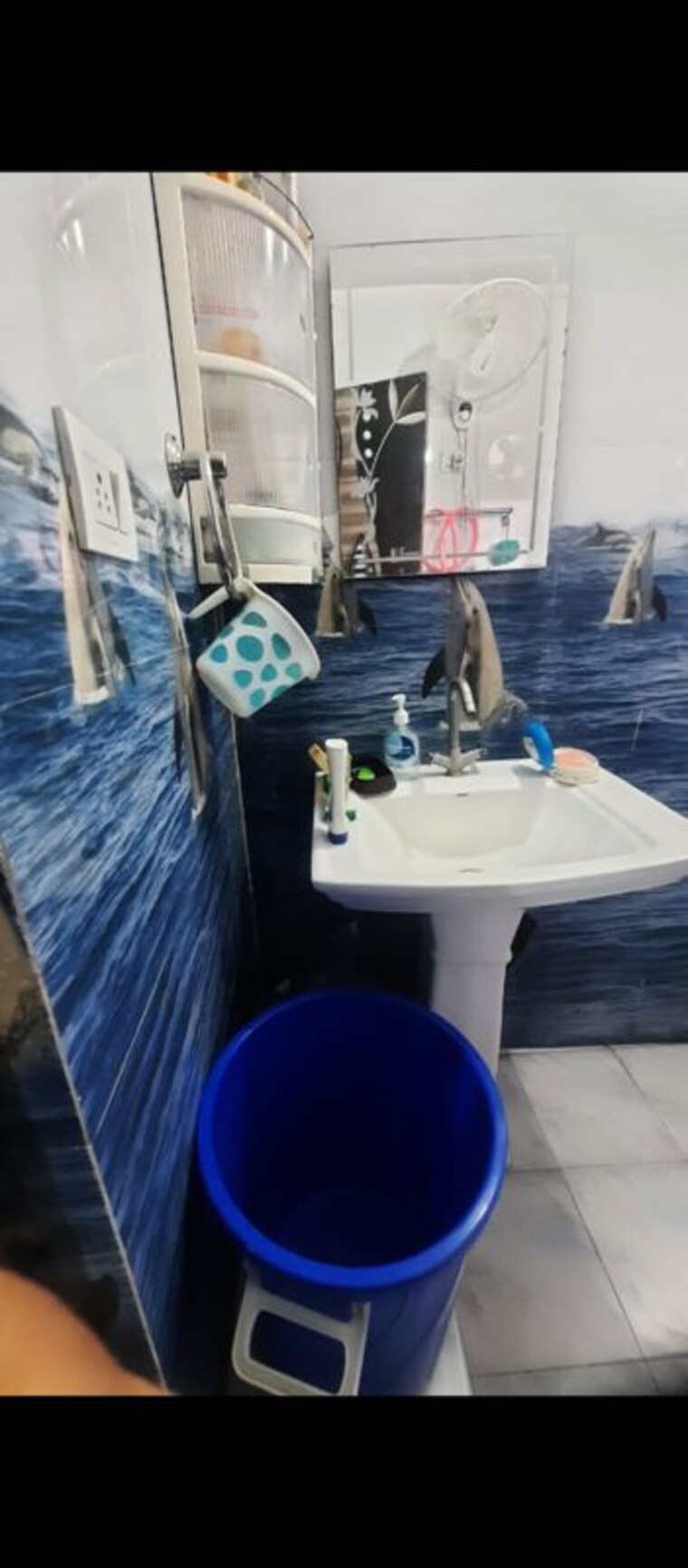 Swimming Pool, sector 4 2 Bedroom 842 Sq.Ft. Builder Floor In Sector 4 Panchkula 10250652