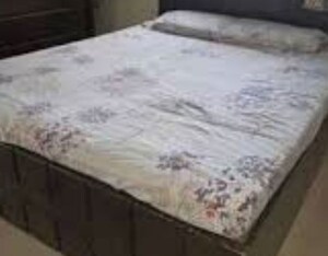  Pg For Rent in Vineet Khand