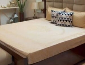  Pg For Rent in Gomti Nagar