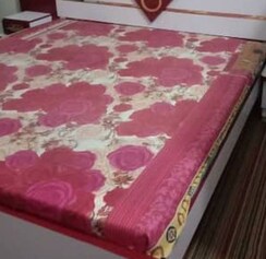 Pg For Rent in Gomti Nagar