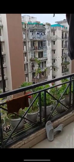 3.5 BHK + Basement Apartment For Rent in Aditya Palm Court