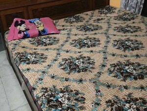  Pg For Rent in Vineet Khand