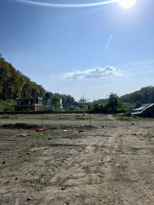 Plot Area in  Plot at Paundha – for Sale