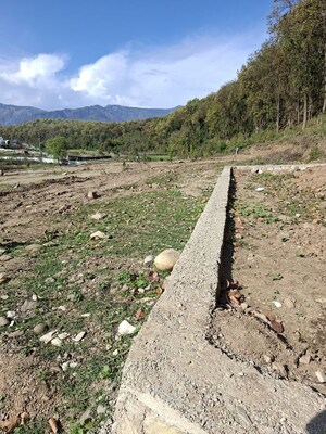 Plot Area in  Plot at Paundha – for Sale